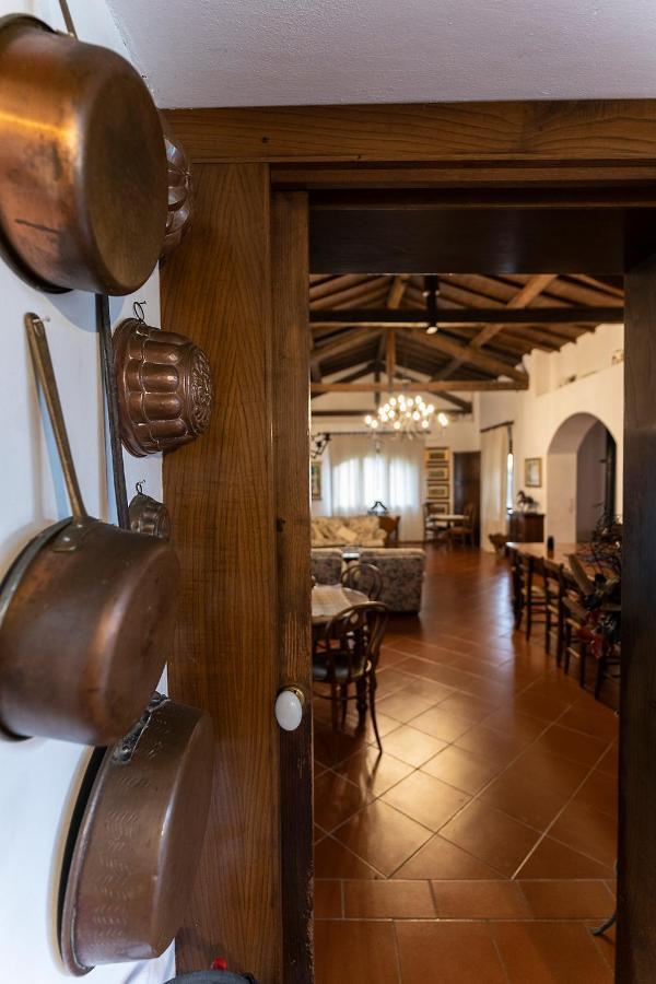Agriturismo Il Bottaccino Monsummano Terme Ngoại thất bức ảnh